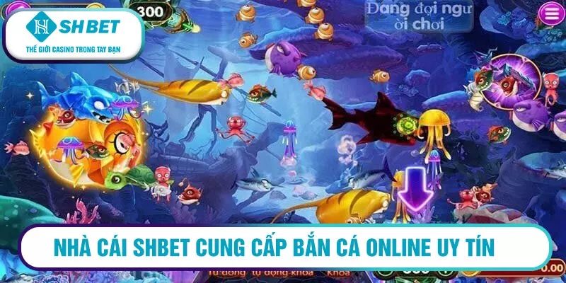 Có nên hack game bắn cá online đổi thưởng 2023 không? 3 Nhà cái Shbet cung cấp bắn cá online uy tín