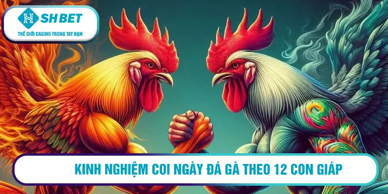 Coi ngày đá gà theo 12 con giáp trong sách kinh kê 3 Kinh nghiệm coi ngày đá gà theo 12 con giáp
